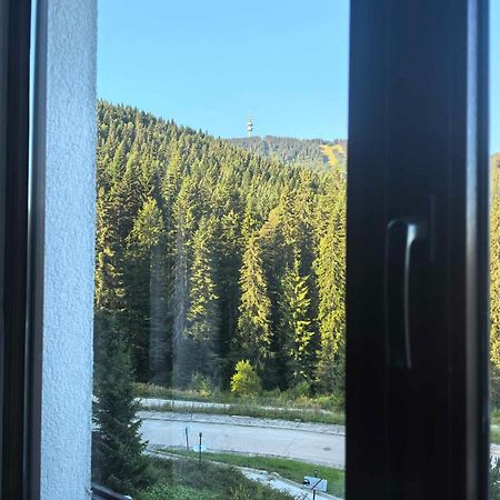 Тайната Квартира - The Secret Apartment Pamporovo Exteriér fotografie